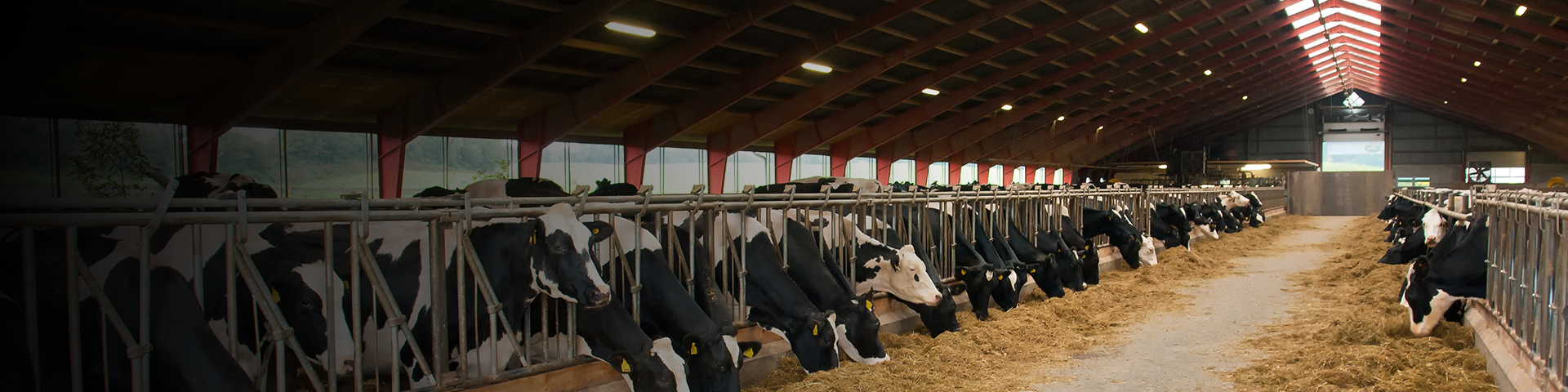 畜牧場甲烷排放監(jiān)測解決方案